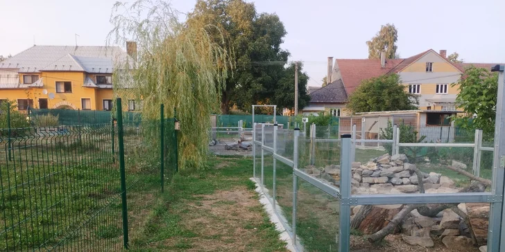 Zoo koutek Bezděz Dvůr: setkání s kapybarou, alpakami i opičkou pro děti a dospělé