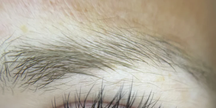 Prodloužení řas v elegantním salonu: metoda řasa na řasu či objemová 3D až 10D