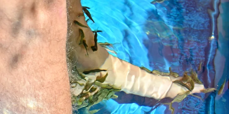 Příjemný relax s rybičkami Garra Rufa v Thajském ráji