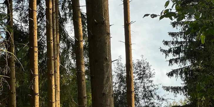 Romantický únik do šumavských lesů: plně vybavený tiny house, snídaně v penzionu