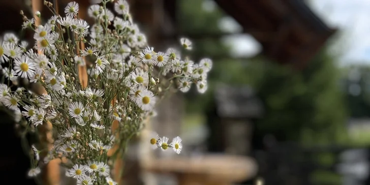 Pohádkové ubytování v šumavské roubence: výhled na Královský Hvozd, možnost snídaní