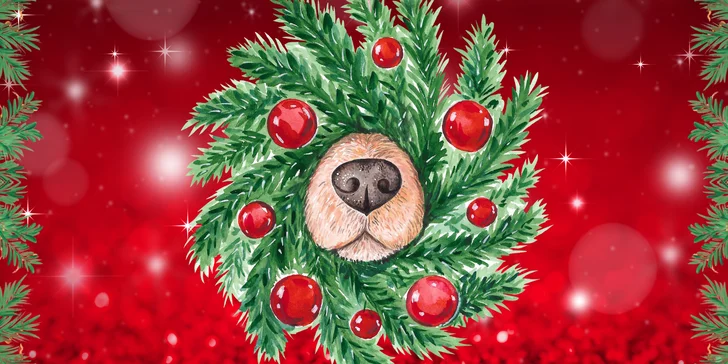 Adventní PDF kalendář plný šifer, hádanek a úkolů: zábava pro děti až do Vánoc