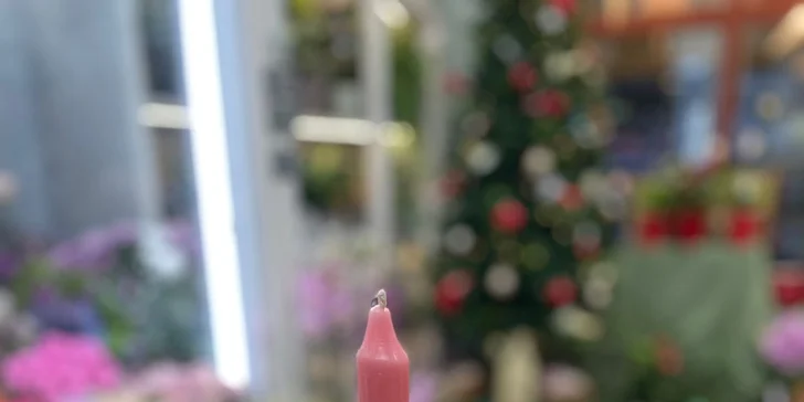 Připravte si vánoční výzdobu: workshop výroby adventních svícnů a věnců pro 1 až 2 osoby