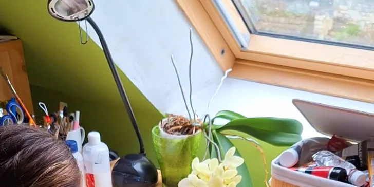 Relaxační malování pro ženy: individuální online kurz s arteterapeutickým přesahem