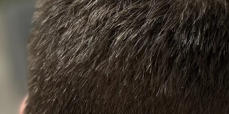 Pánský střih strojkem i nůžkami v 1 kadeřnictví