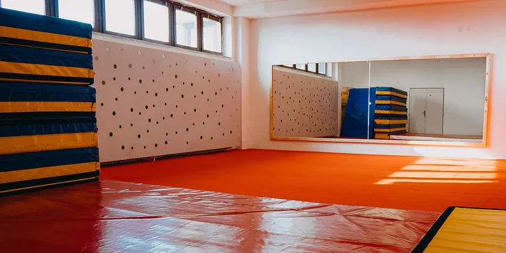 Vstup do dětské gymnastické herny, skupinové lekce i pronájem tělocvičny