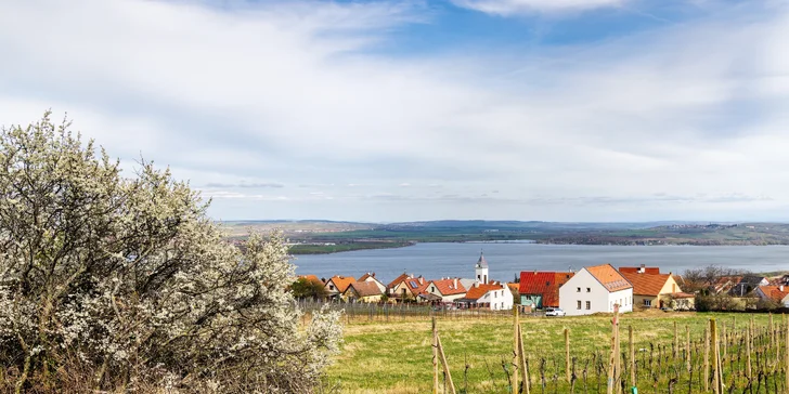 Moderní apartmány v Pasohlávkách vč. wellness, 130 m od Aqualandu Moravia
