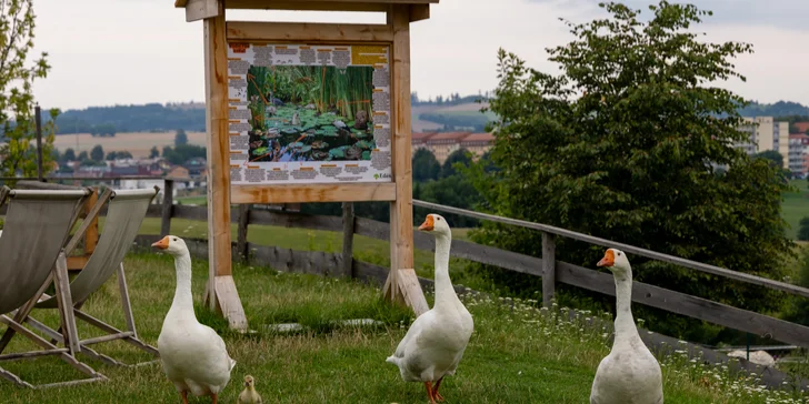 Pobyt na statku mezi zvířátky: chaloupka až pro 6 osob, farmářská snídaně v košíku