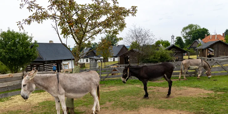 Pobyt na statku mezi zvířátky: chaloupka až pro 6 osob, farmářská snídaně v košíku