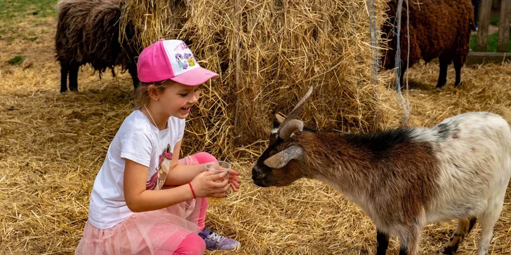 Pobyt na statku mezi zvířátky: chaloupka až pro 6 osob, farmářská snídaně v košíku