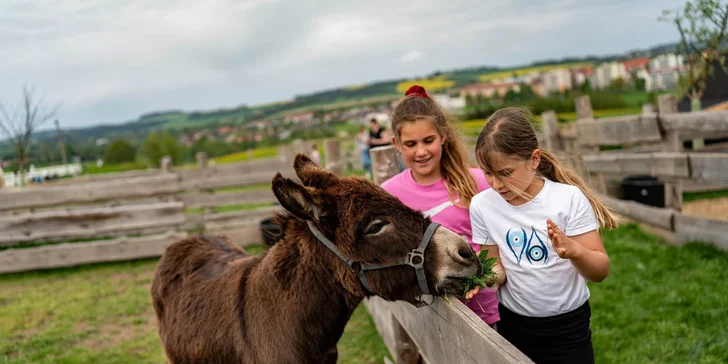 Pobyt na statku mezi zvířátky: chaloupka až pro 6 osob, farmářská snídaně v košíku