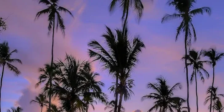 Zanzibar: hotel Diamonds Mapenzi Beach Club**** u pláže, all inclusive, bazény i let dreamlinerem