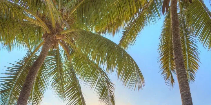 Letecky Zanzibar: let dreamlinerem, hotel Sultan Sands Island Resort**** s all inclusive, bazén i pláž