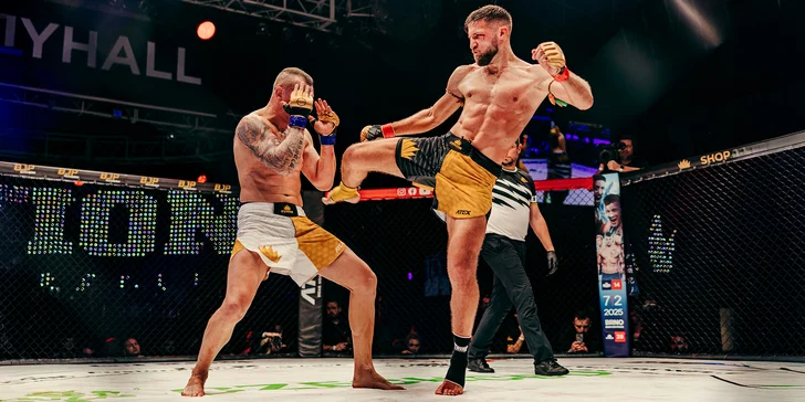 Vstupenka na jubilejní galavečer Fusion 30 v Plzni: MMA, fusion i bare knuckle v oktagonu