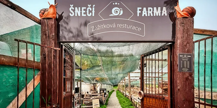 Šnečí delikatesy na slavnostní stůl: ukázka přípravy v zážitkové restauraci i ochutnávka