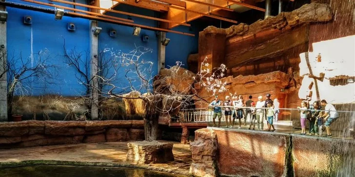 Nabitý den ve Vratislavi: vyrazte do nejnavštěvovanější polské zoo, Afrikária a na Sky Tower