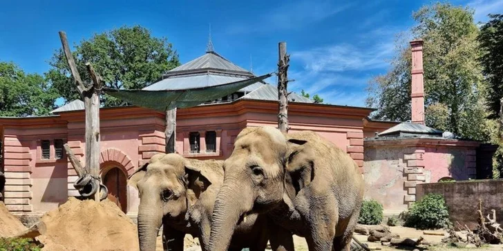 Nabitý den ve Vratislavi: vyrazte do nejnavštěvovanější polské zoo, Afrikária a na Sky Tower