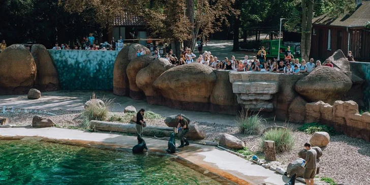 Nabitý den ve Vratislavi: vyrazte do nejnavštěvovanější polské zoo, Afrikária a na Sky Tower