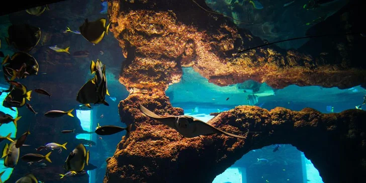 Nabitý den ve Vratislavi: vyrazte do nejnavštěvovanější polské zoo, Afrikária a na Sky Tower