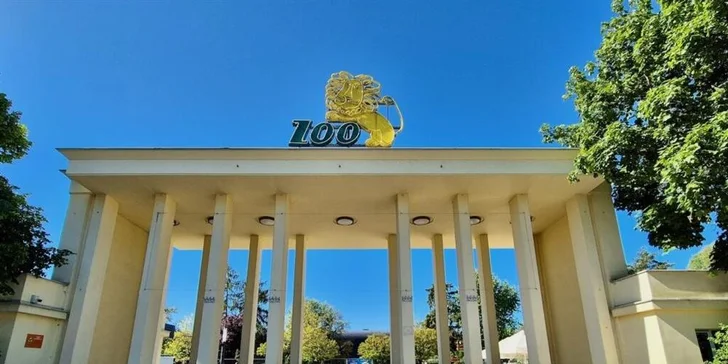 Nabitý den ve Vratislavi: vyrazte do nejnavštěvovanější polské zoo, Afrikária a na Sky Tower