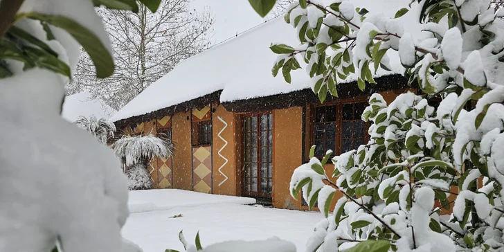 Afrika ve Dvoře Králové: bungalov v kempu, snídaně, neomezený vstup do safari i vířivka
