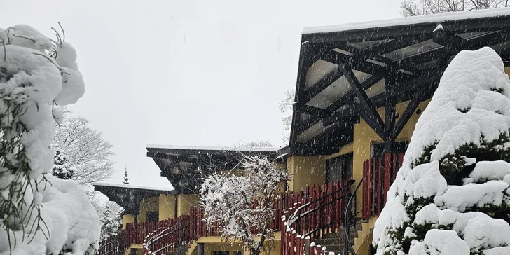 Afrika ve Dvoře Králové: 4* hotel v Safari Parku se snídaní a vstupem do safari