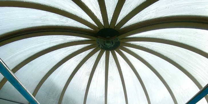 Afrika ve Dvoře Králové: bungalov v kempu, snídaně, neomezený vstup do safari i vířivka