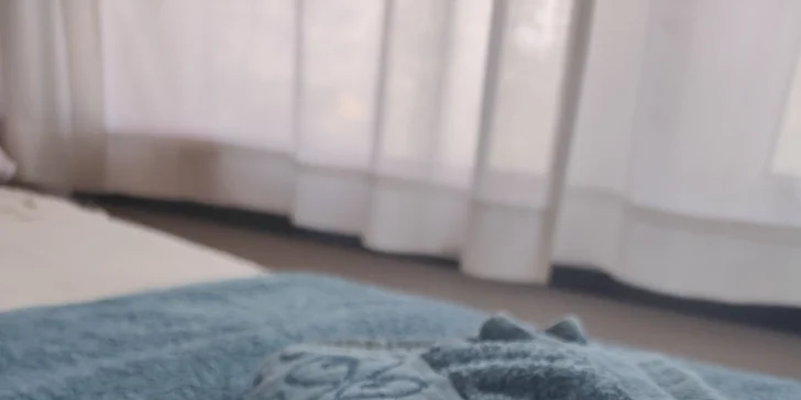 Masáž dle výběru na 30-60 minut: relaxační, sportovní i těhotenská