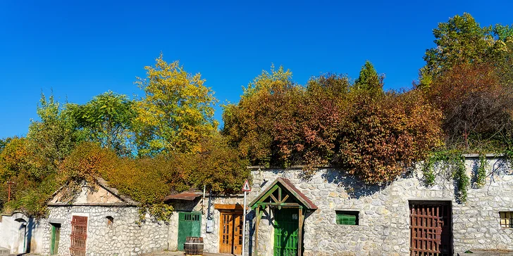 Advent v Egeru i Budapešti: 3 noci v hotelu Flora**** s polopenzí a saunami, doprava, vstup do lázní