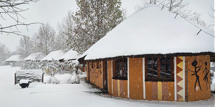 Afrika ve Dvoře Králové: bungalov v kempu, snídaně, neomezený vstup do safari i vířivka