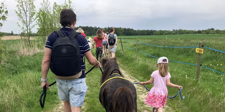 Vyjížďka na ponících: okruh pro nejmenší i náročnější trasy kolem památek