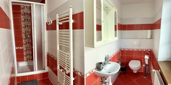 Samozrejmosťou je kúpeľňa so sprchou a WC.