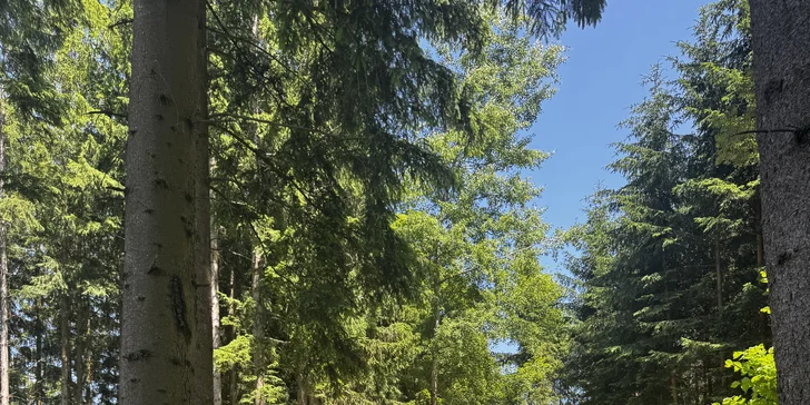 Romantický únik do šumavských lesů: plně vybavený tiny house, snídaně v penzionu