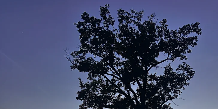 Pohádkové ubytování v šumavské roubence: výhled na Královský Hvozd, možnost snídaní