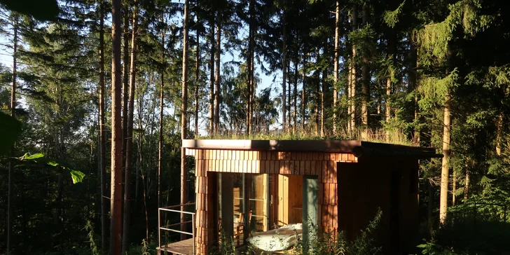 Romantický únik do šumavských lesů: plně vybavený tiny house, snídaně v penzionu