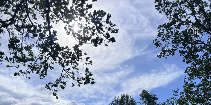 Pohádkové ubytování v šumavské roubence: výhled na Královský Hvozd, možnost snídaní