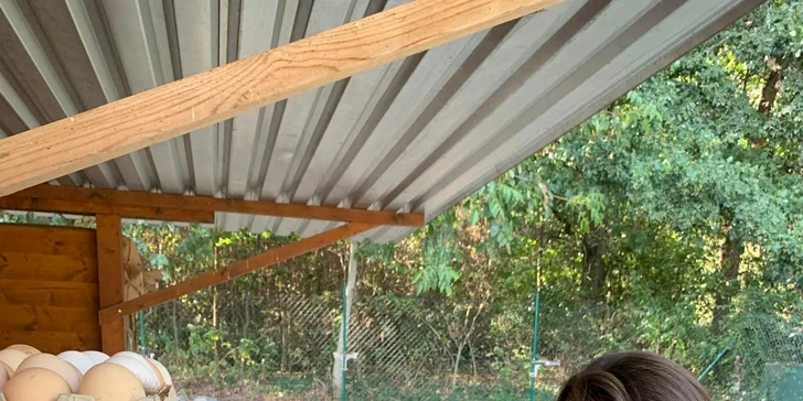 Na chvíli farmářem na Záhoří: 3 hodiny péče o zvířata a za odměnu frizzante