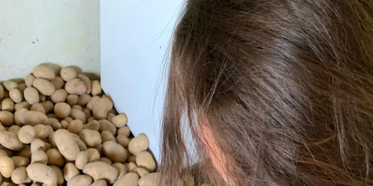 Na chvíli farmářem na Záhoří: 3 hodiny péče o zvířata a za odměnu frizzante