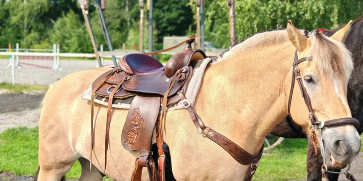 Zážitek pro malé i velké: vyjížďka na koni i na poníkovi v přírodě na ranči