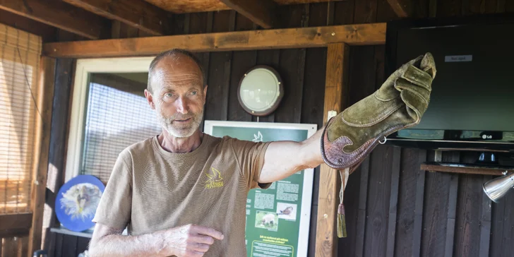 Dravci zblízka: základy sokolnictví a létání s dravými ptáky