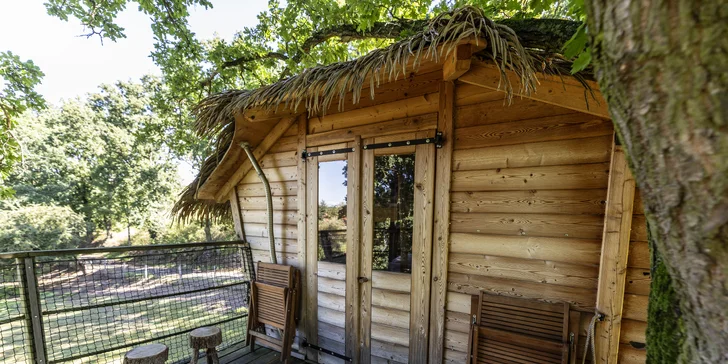 Pobyt v domku na stromě: úžasná romantika pro dva i nevšední zážitek pro děti