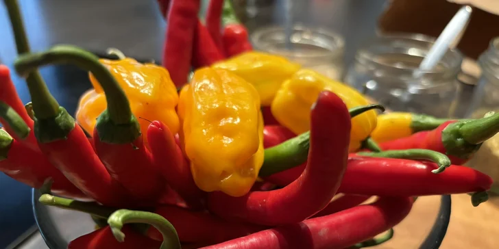 Fajitas, chilli con carne i tacos: tříhodinový kurz vaření pro milovníky Mexika