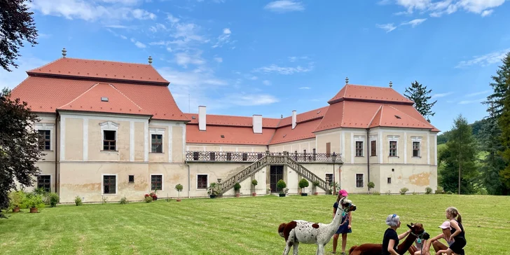 Zážitek pro milovníky zvířat – alpakatrekking na 60 minut v zámeckém parku Koryčany