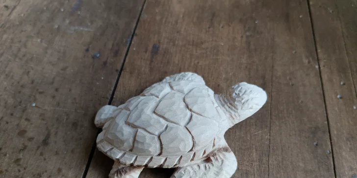 Dejte prostor své kreativitě: kurz řezbářství či linorytových razítek pro 1 i 2 osoby