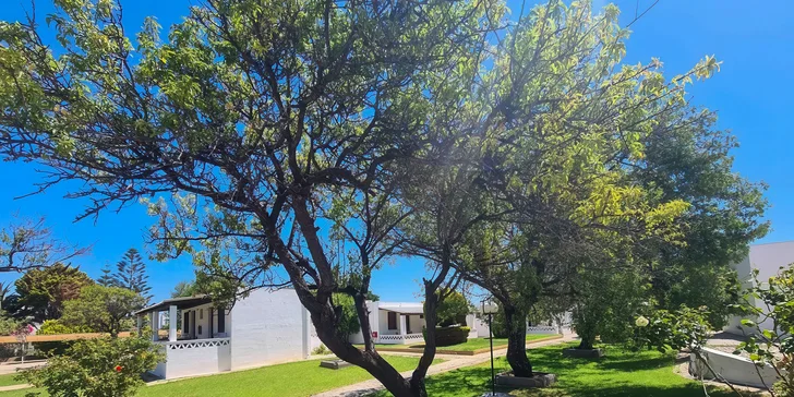 Odpočinek na řeckém ostrově Skyros: letenky, 3* hotel Melikari 300 m od pláže, snídaně, bazén