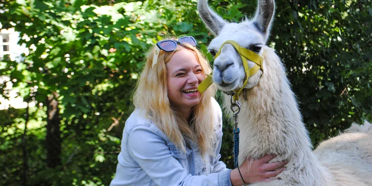 Lamatreking: procházka s lamami včetně krmení a prohlídky farmy, až pro 6 osob