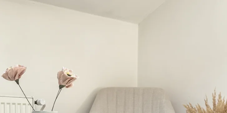 Vybavený apartmán v srdci Litoměřic: dům samotného Karla Hynka Máchy