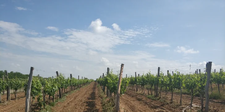 Relax na západě Slovenska: Svätý Peter s polopenzí a degustací vín