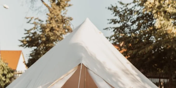 Krmení, hlazení a focení: hodinový pobyt s alpakami pro celou rodinu