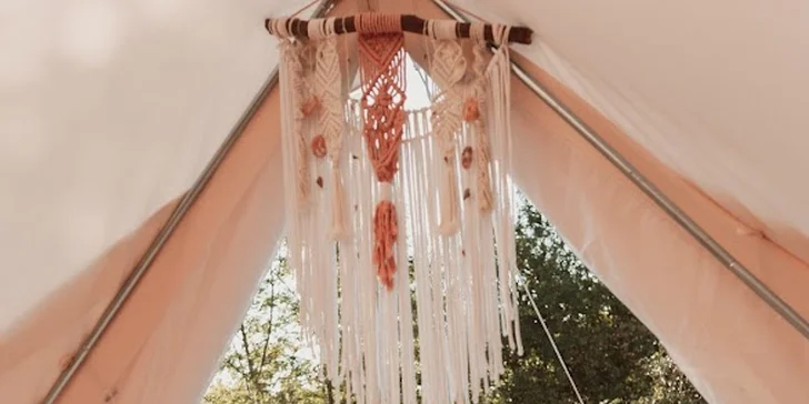 Krmení, hlazení a focení: hodinový pobyt s alpakami pro celou rodinu